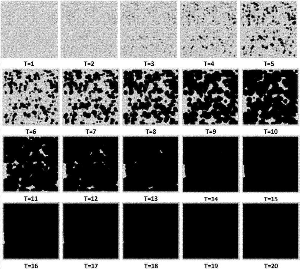 Simulation method for social information dissemination and prediction based on DWM