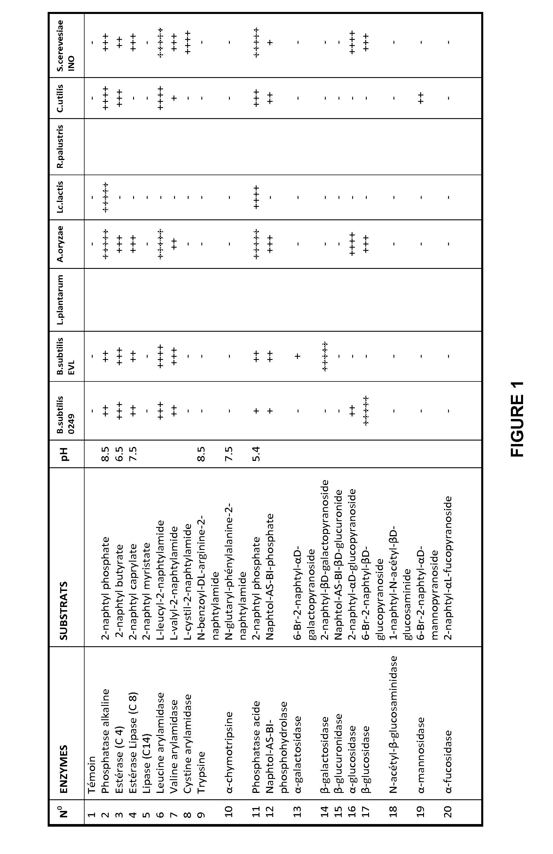 Microbial compositions and methods