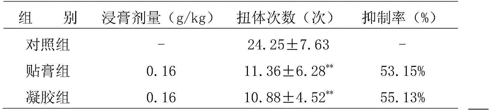 Joint pain relieving gel and preparation method thereof