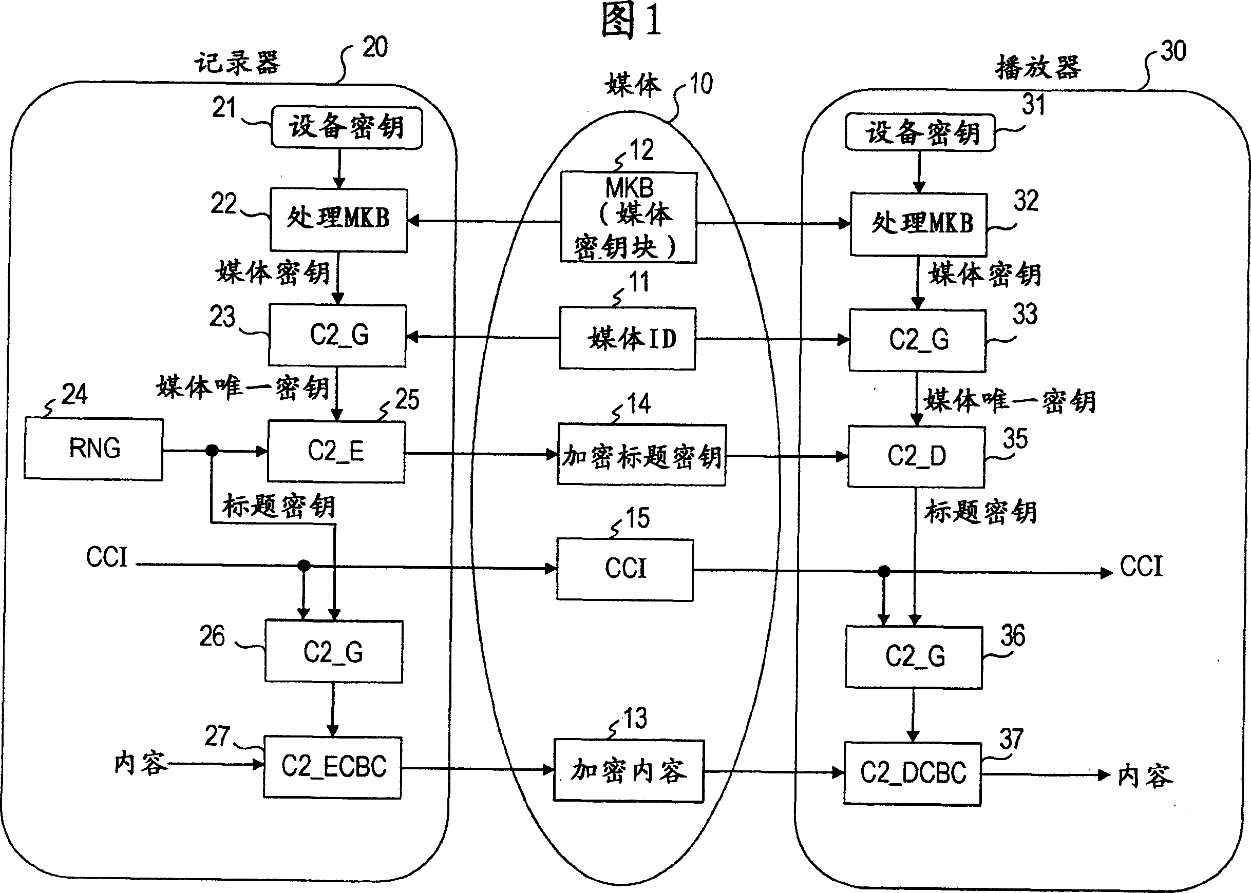 Information processing device, information processing method, and computer program