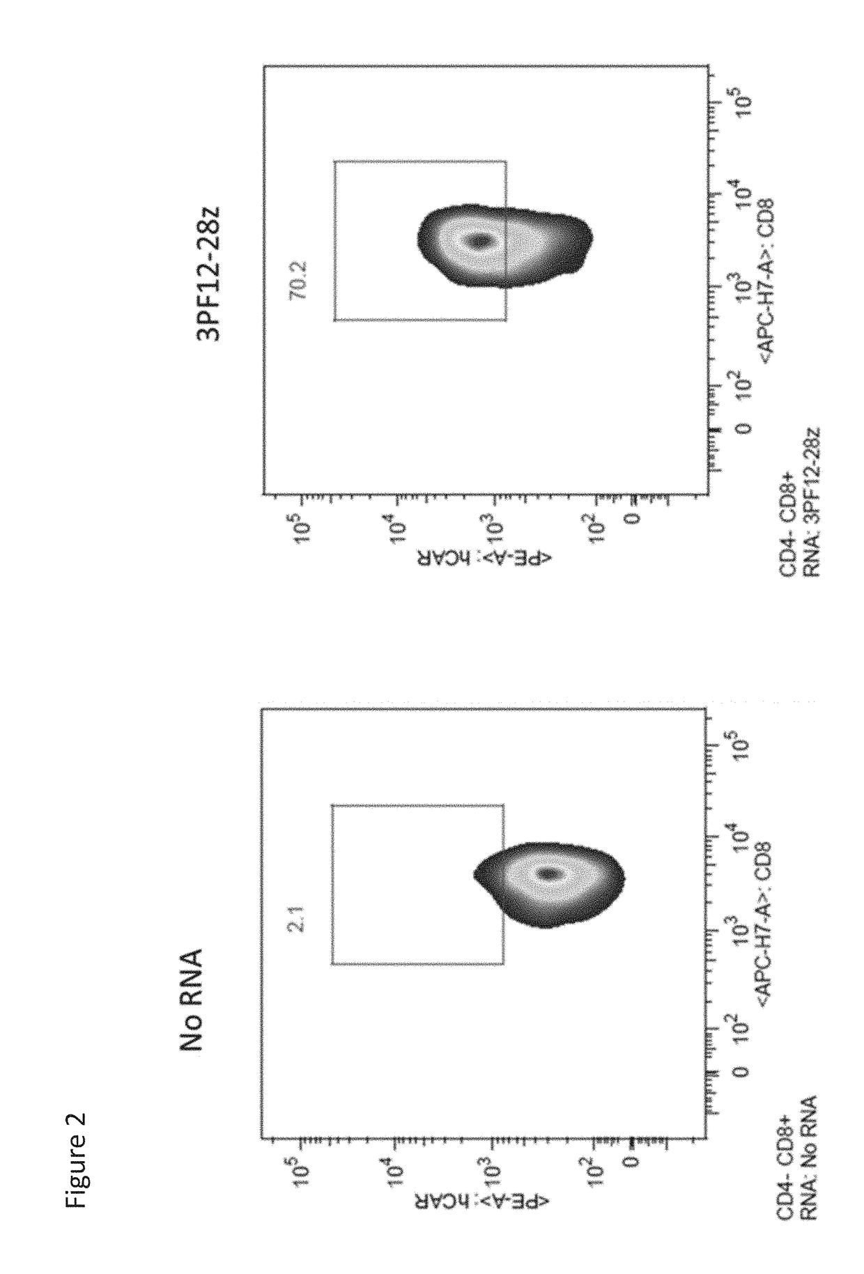 Methods To Protect Transplanted Tissue From Rejection