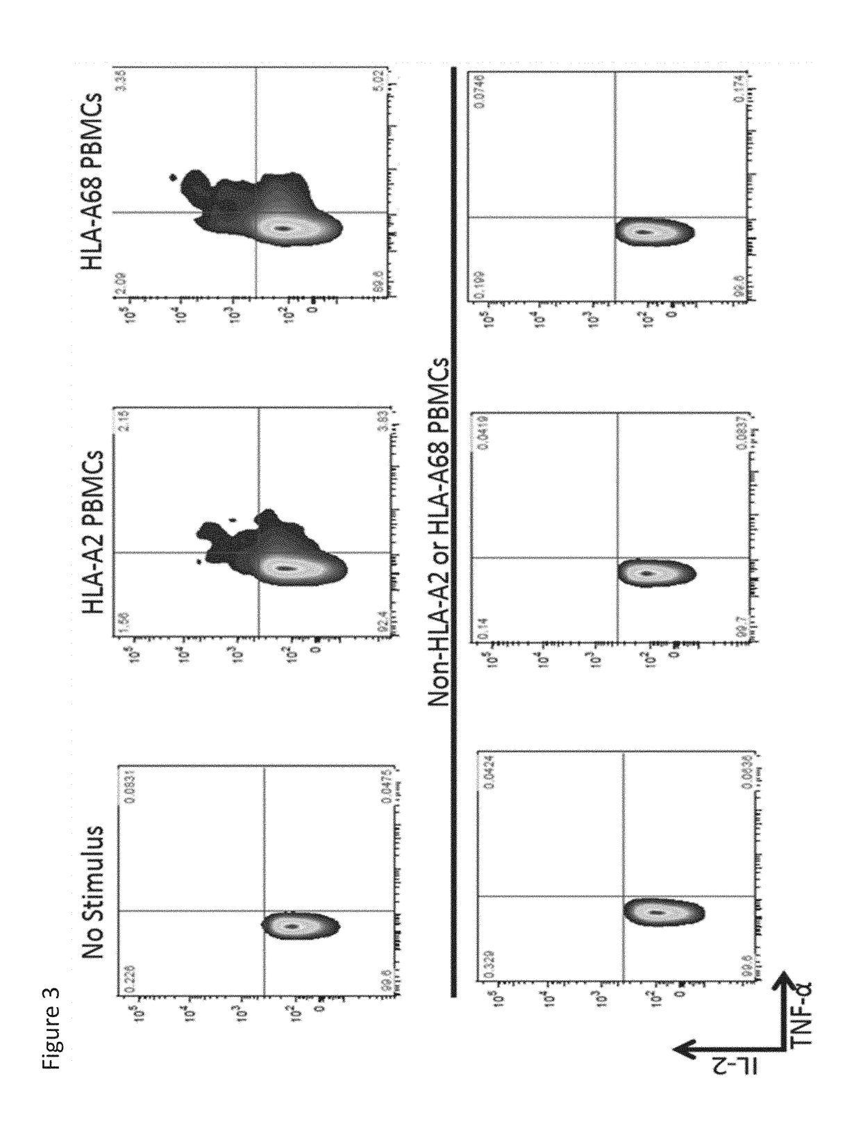 Methods To Protect Transplanted Tissue From Rejection