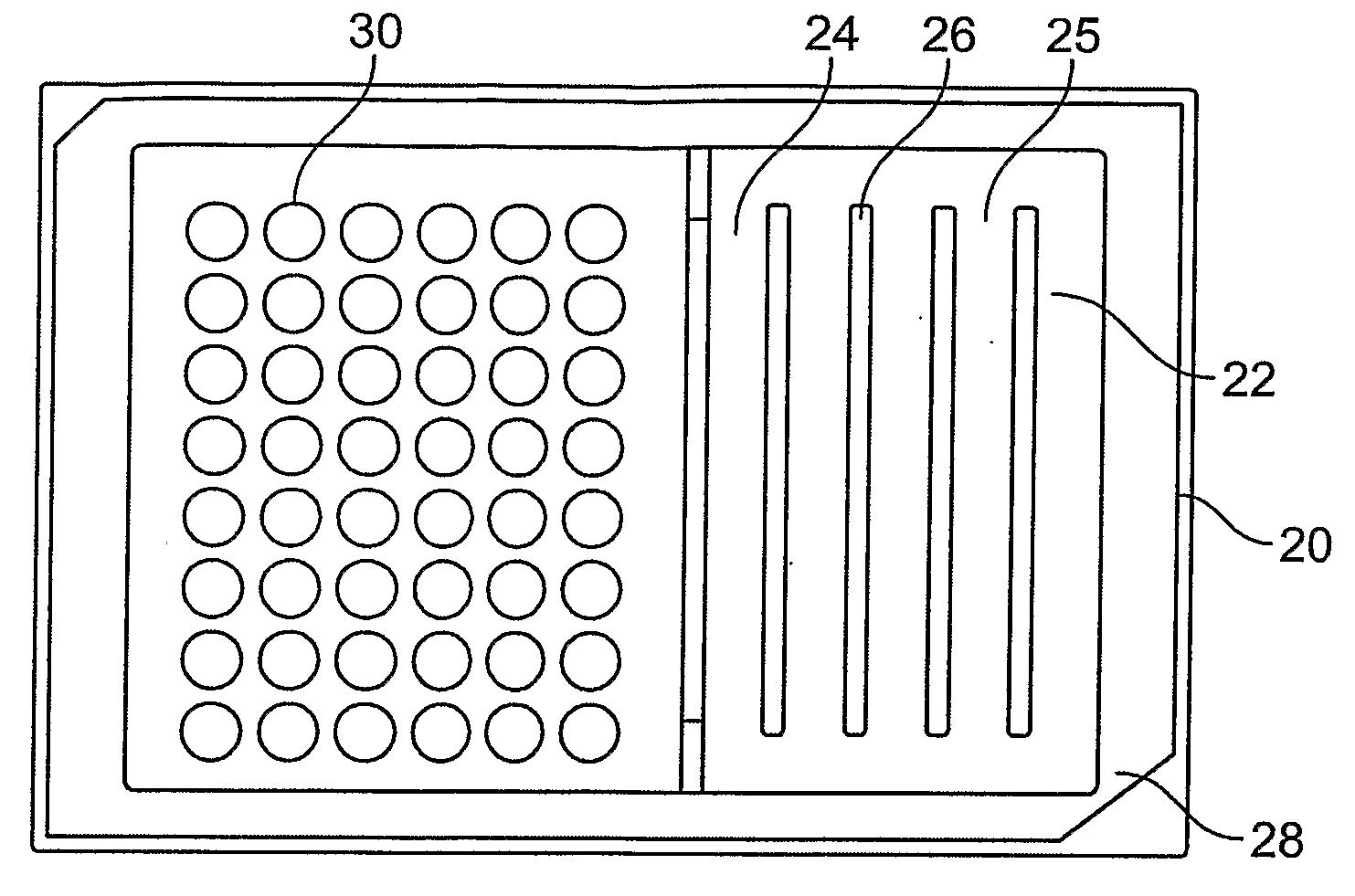 Microbial Growth Assay