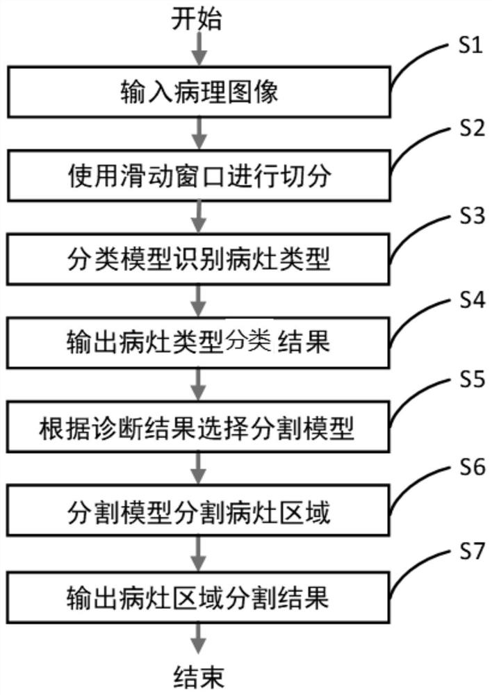 Lung pathological image classification and segmentation method based on deep learning