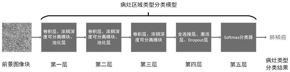 Lung pathological image classification and segmentation method based on deep learning