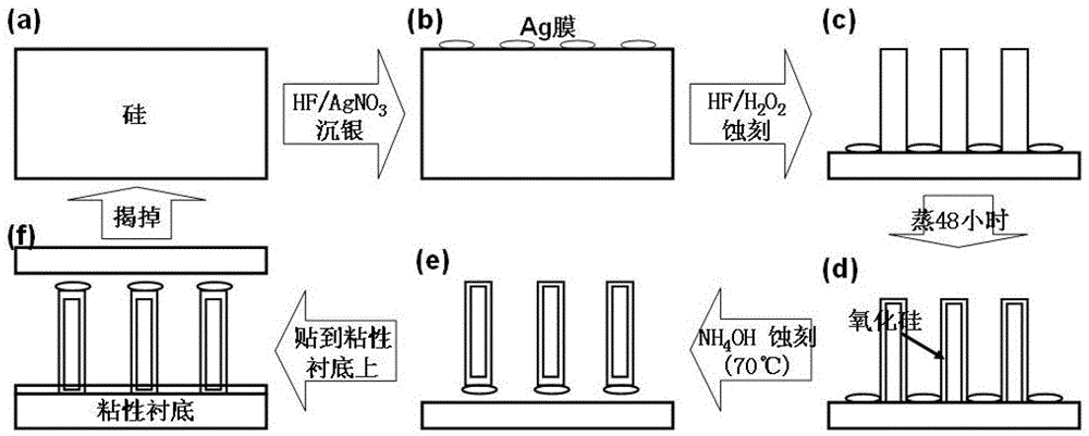 Method for transplanting silicon nanowire array and preparing simple device thereof