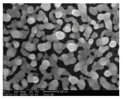 Method for transplanting silicon nanowire array and preparing simple device thereof