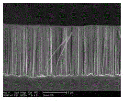 Method for transplanting silicon nanowire array and preparing simple device thereof