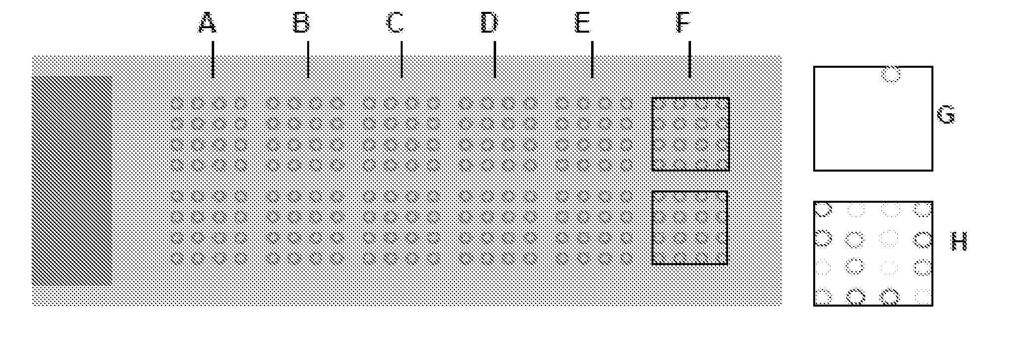 Glycan-based drugs, therapies and biomarkers