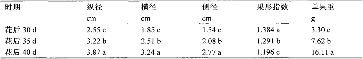 Peach tree fruit thinning researching method