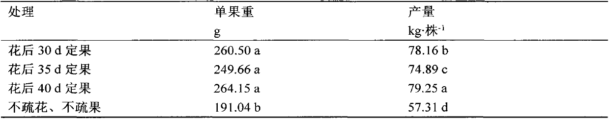 Peach tree fruit thinning researching method