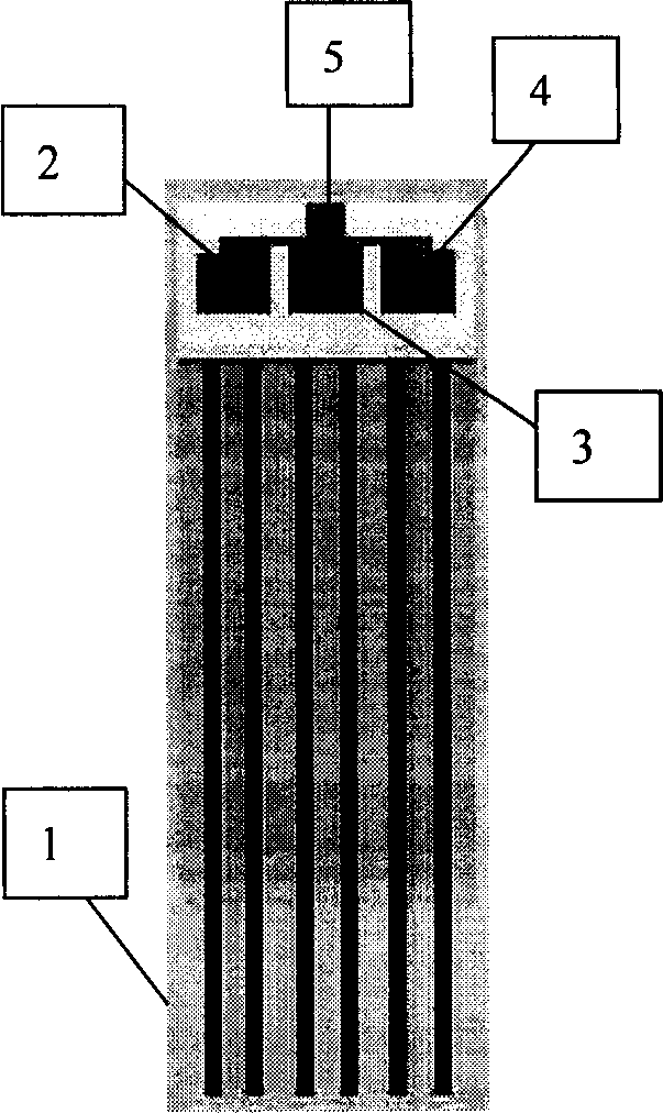 Biological sensor for multiparameter integrated piological-chemical detection