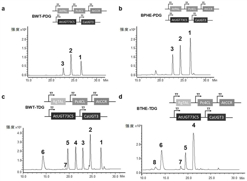 Traneverine analogue, genetically engineered bacterium for producing same and application of genetically engineered bacterium