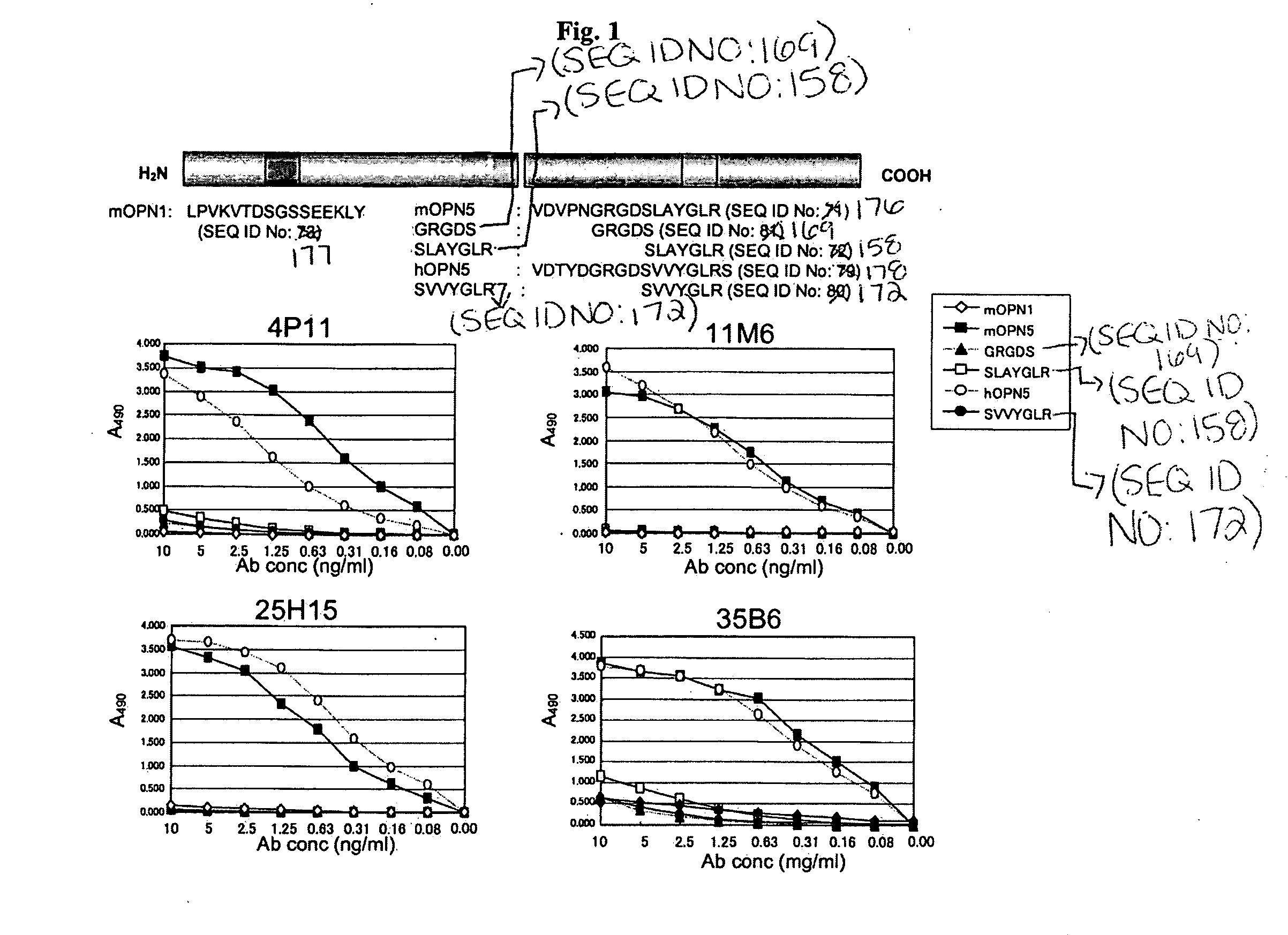 Humanized antibodies specific for amino acid sequence rgd of an extracellular matrix protein and the uses thereof