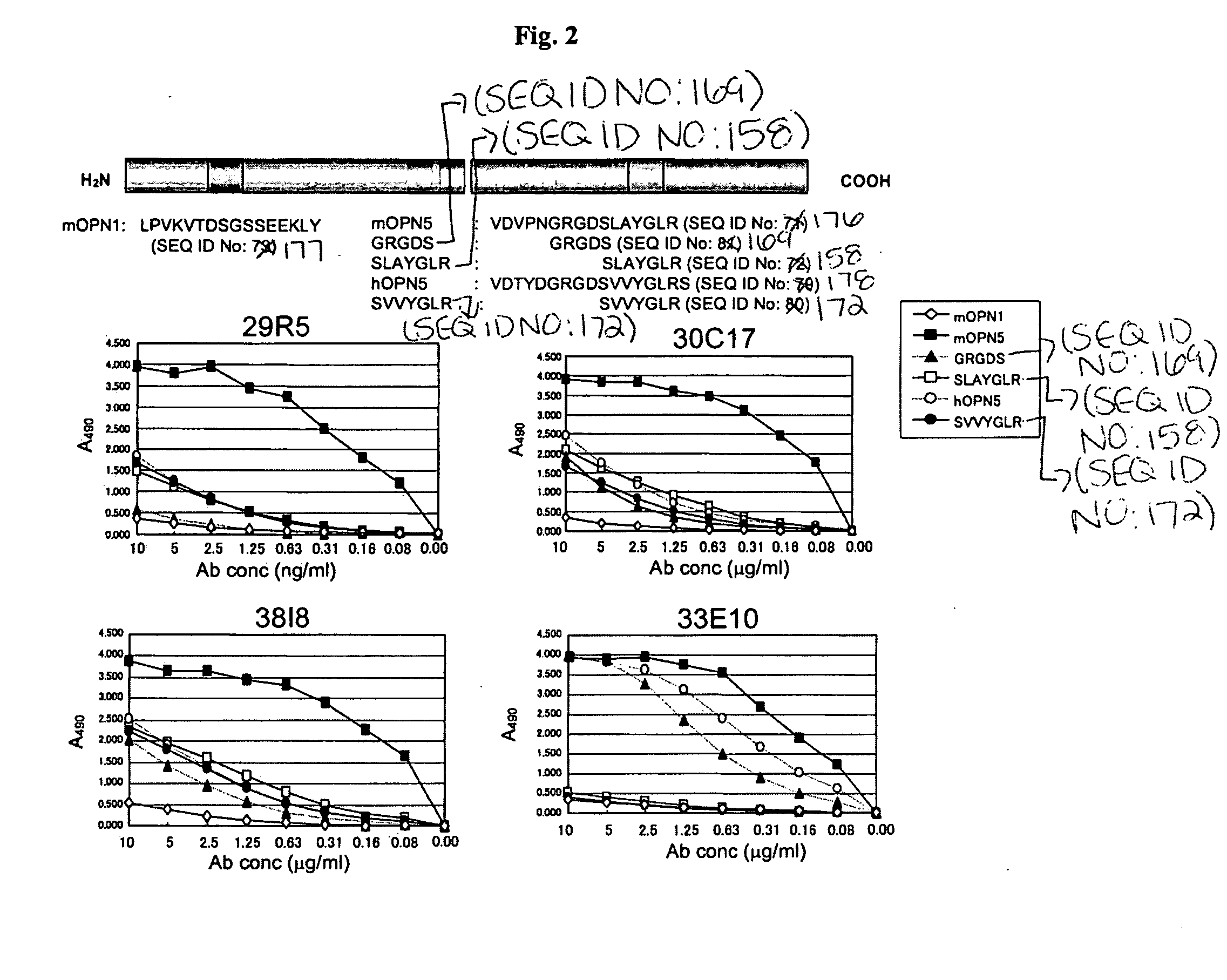 Humanized antibodies specific for amino acid sequence rgd of an extracellular matrix protein and the uses thereof