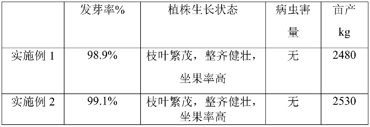 High-quality and high-yield planting method for green and nutritional pepper