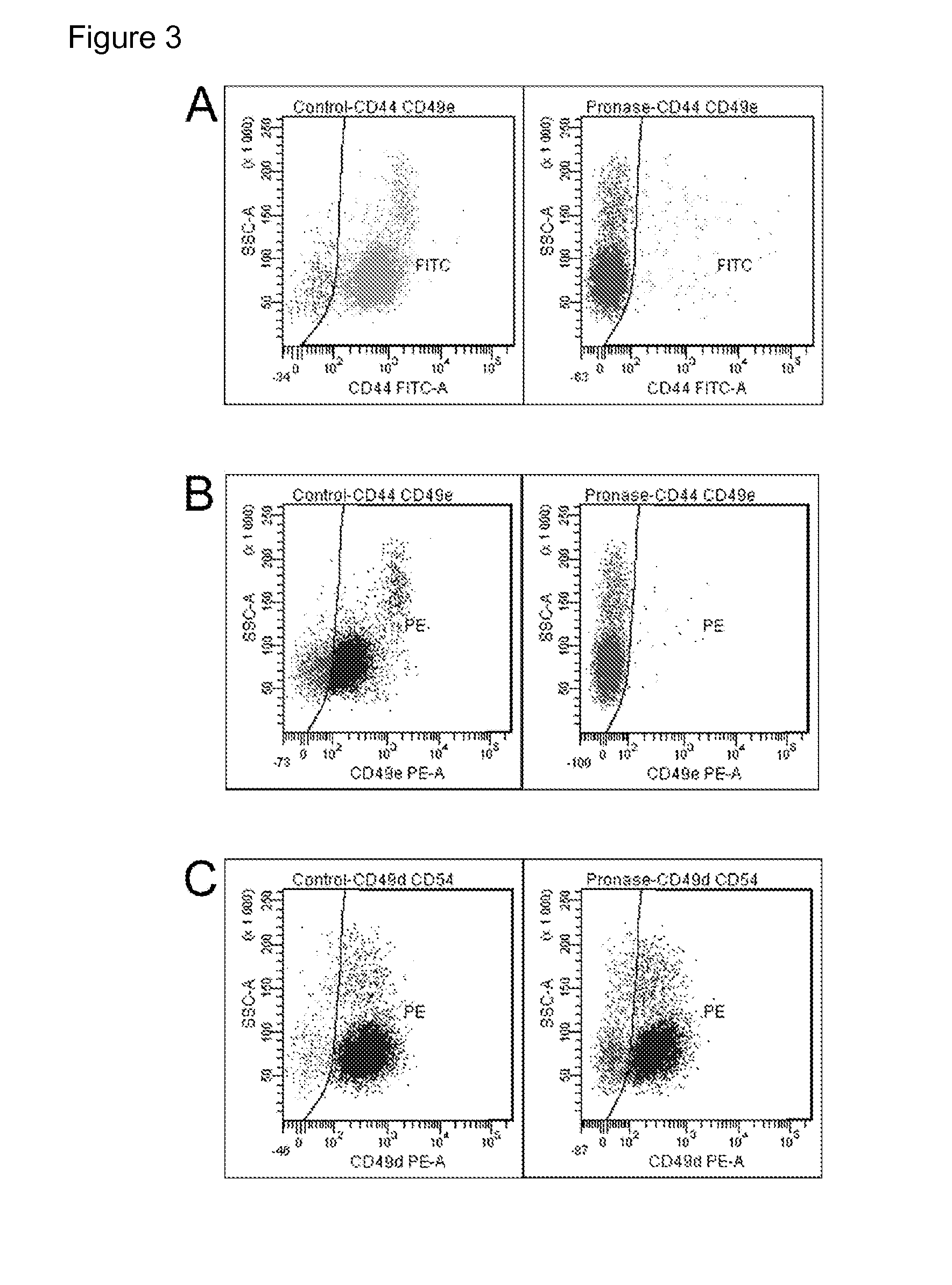 Use of a Proteolytic Enzyme