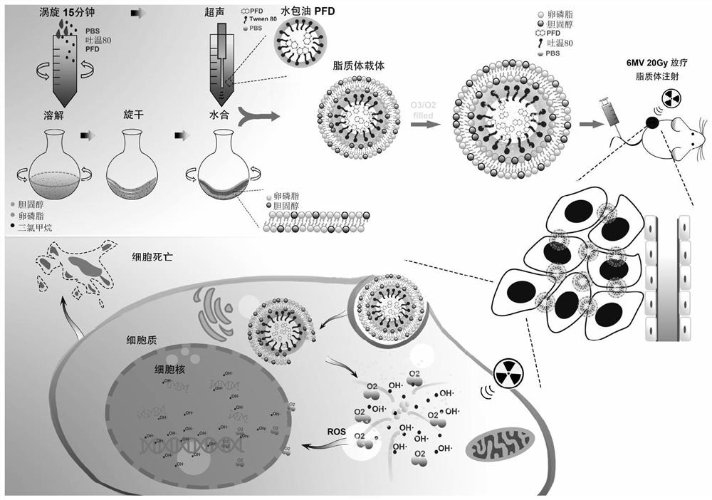 A delivery system, preparation method and application based on nanoliposome