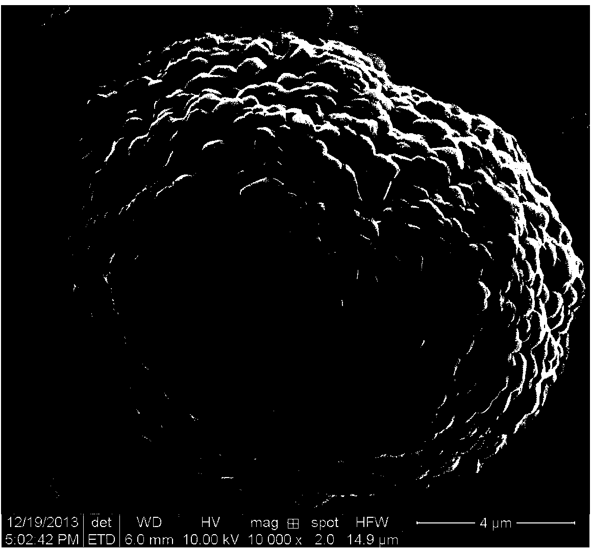 Gradient-doping positive material of lithium ion battery and preparation method of gradient-doping positive material of lithium ion battery