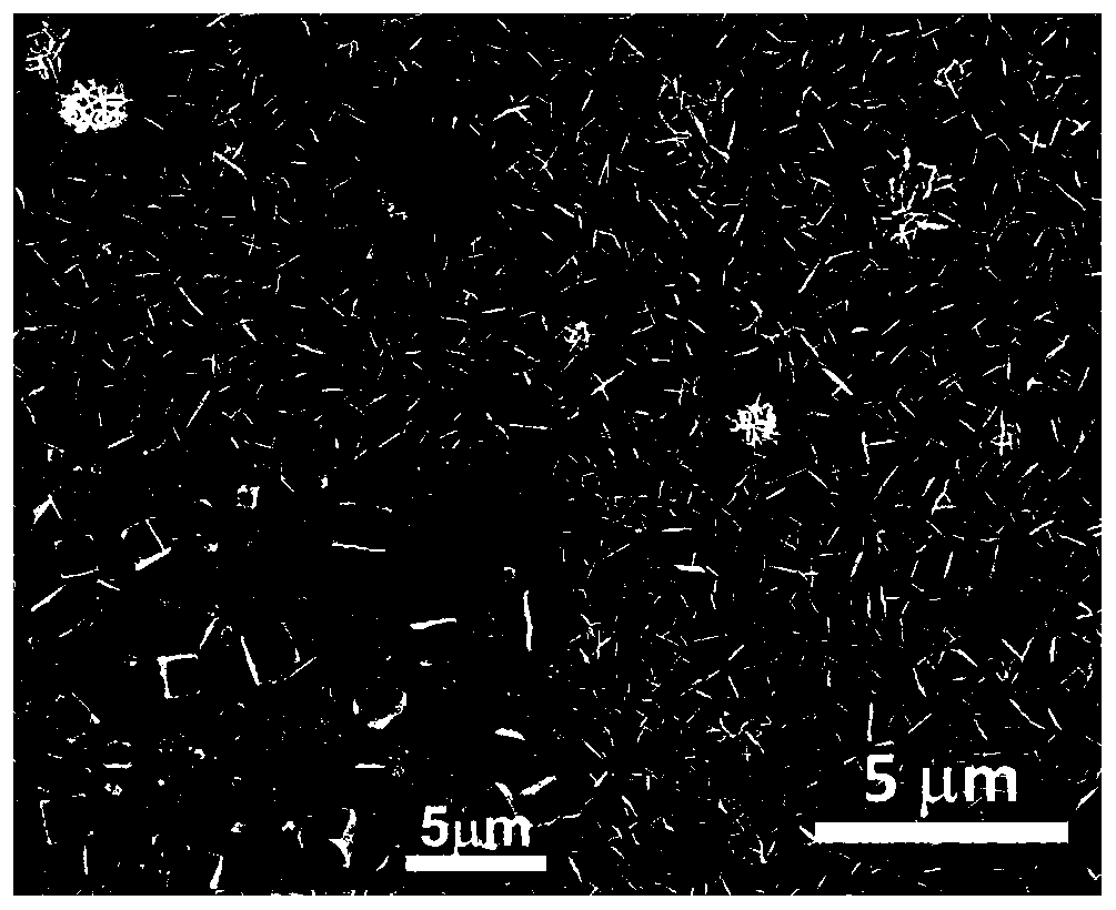 Method for photoelectrocatalytic oxidation of xylose by utilizing indium sulfide/ferronickel hydrotalcite composite film