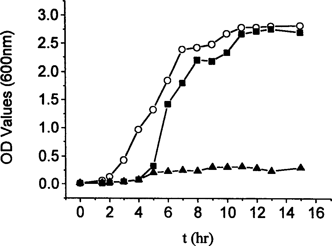 Prepn of biocompatible SA/CS-CaCl2/PMCG microcapsule