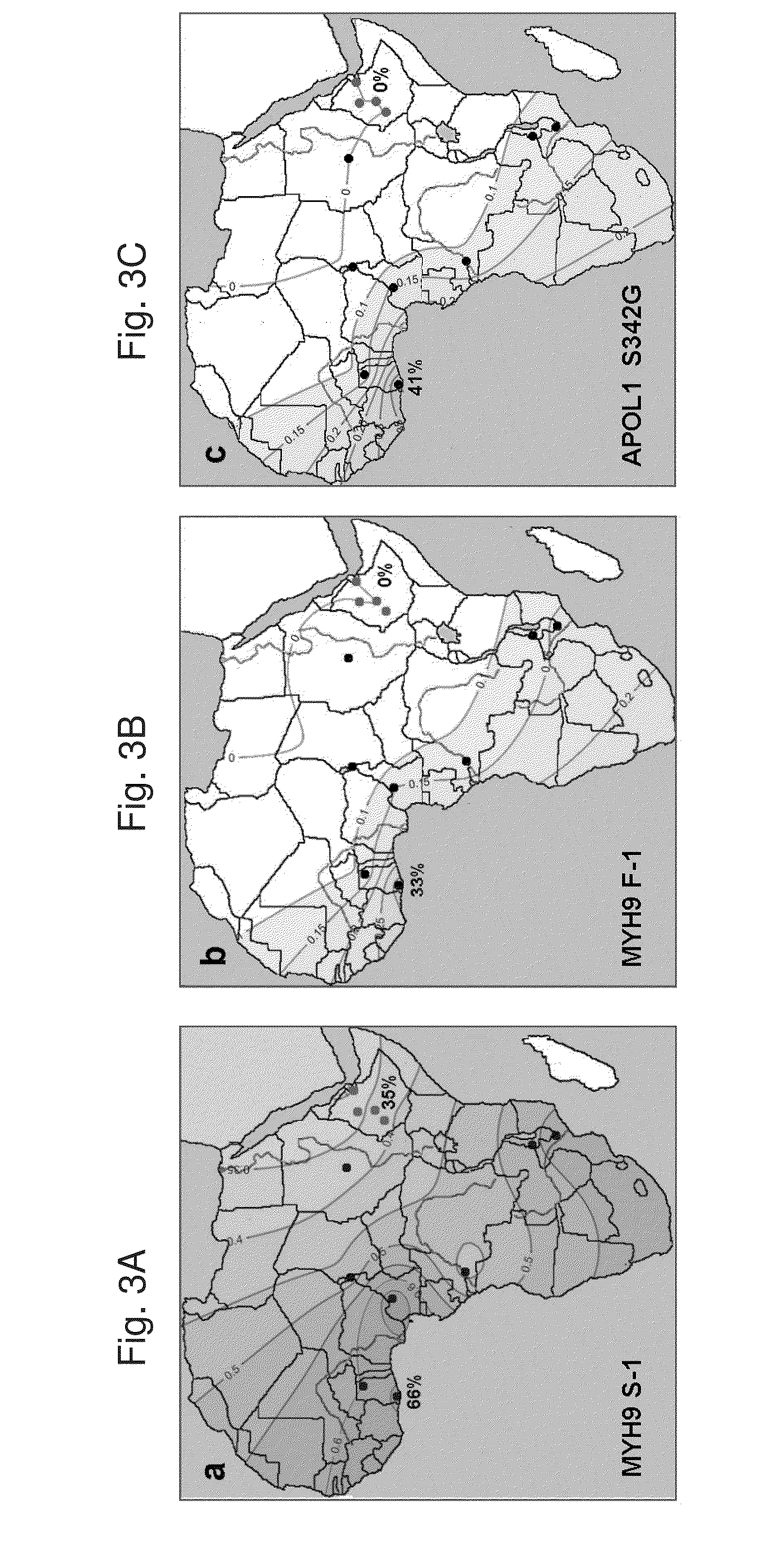 Methods and kits for determining predisposition to develop kidney diseases