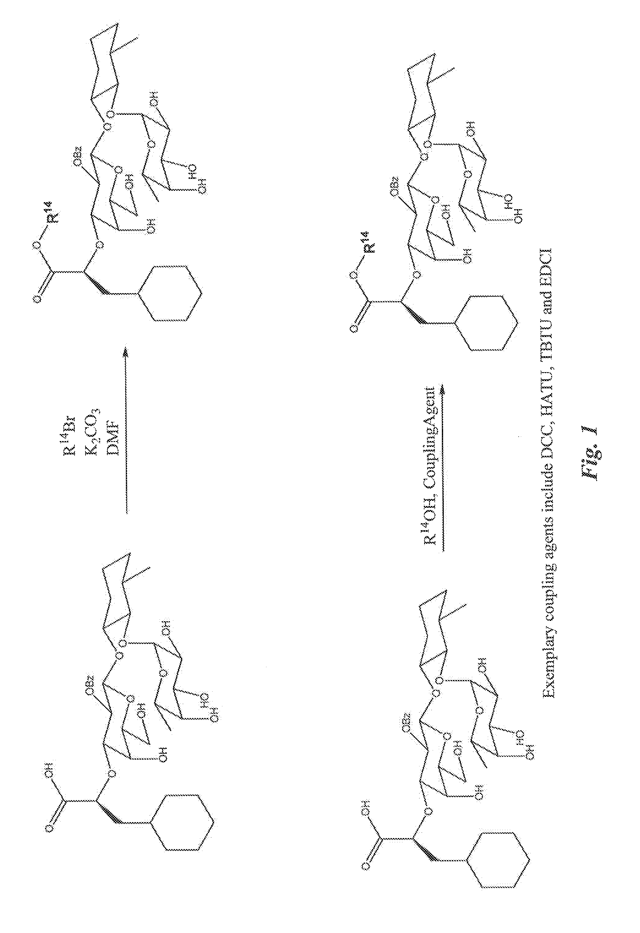 E-selectin antagonist compounds and methods of use