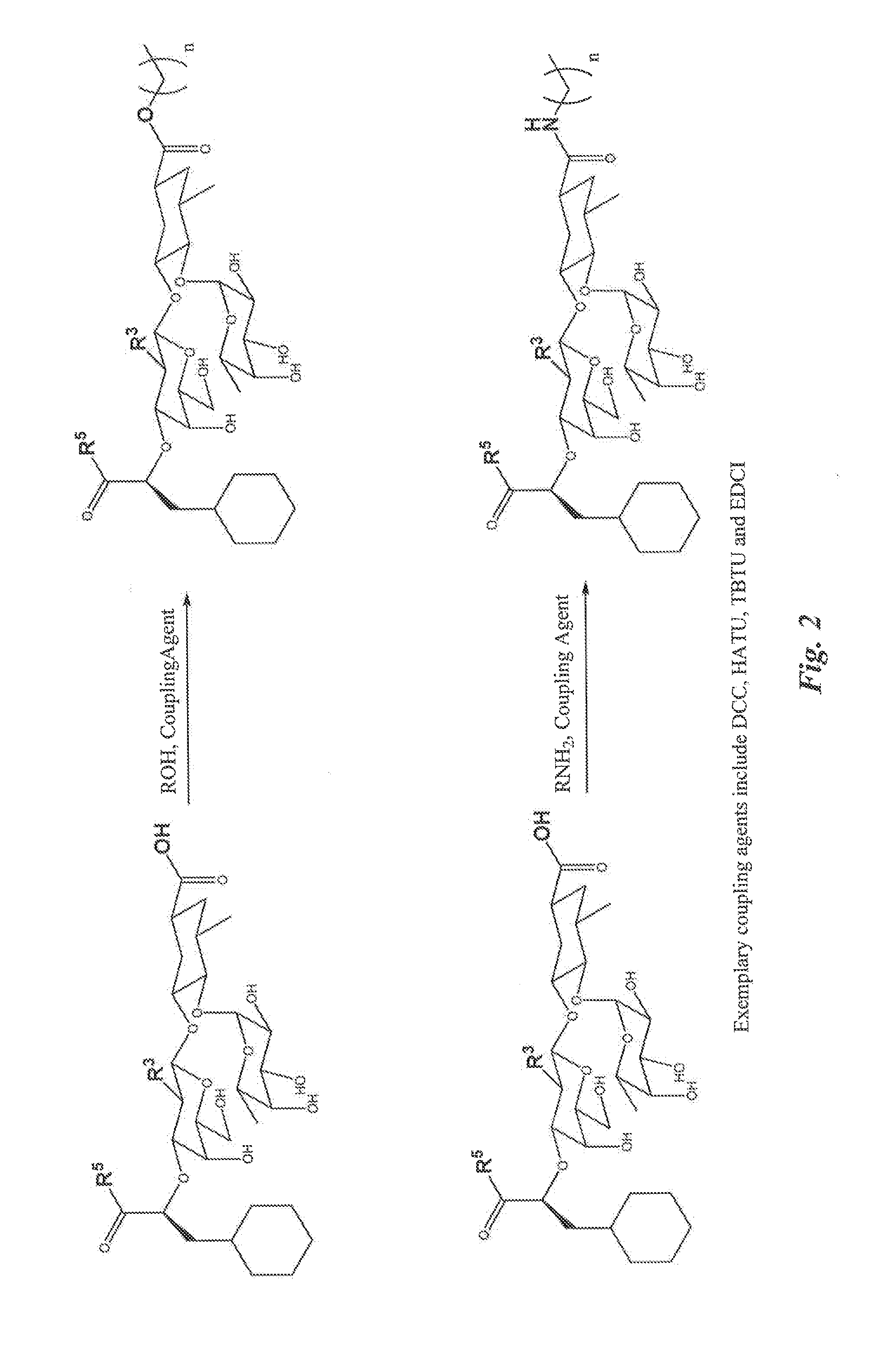 E-selectin antagonist compounds and methods of use