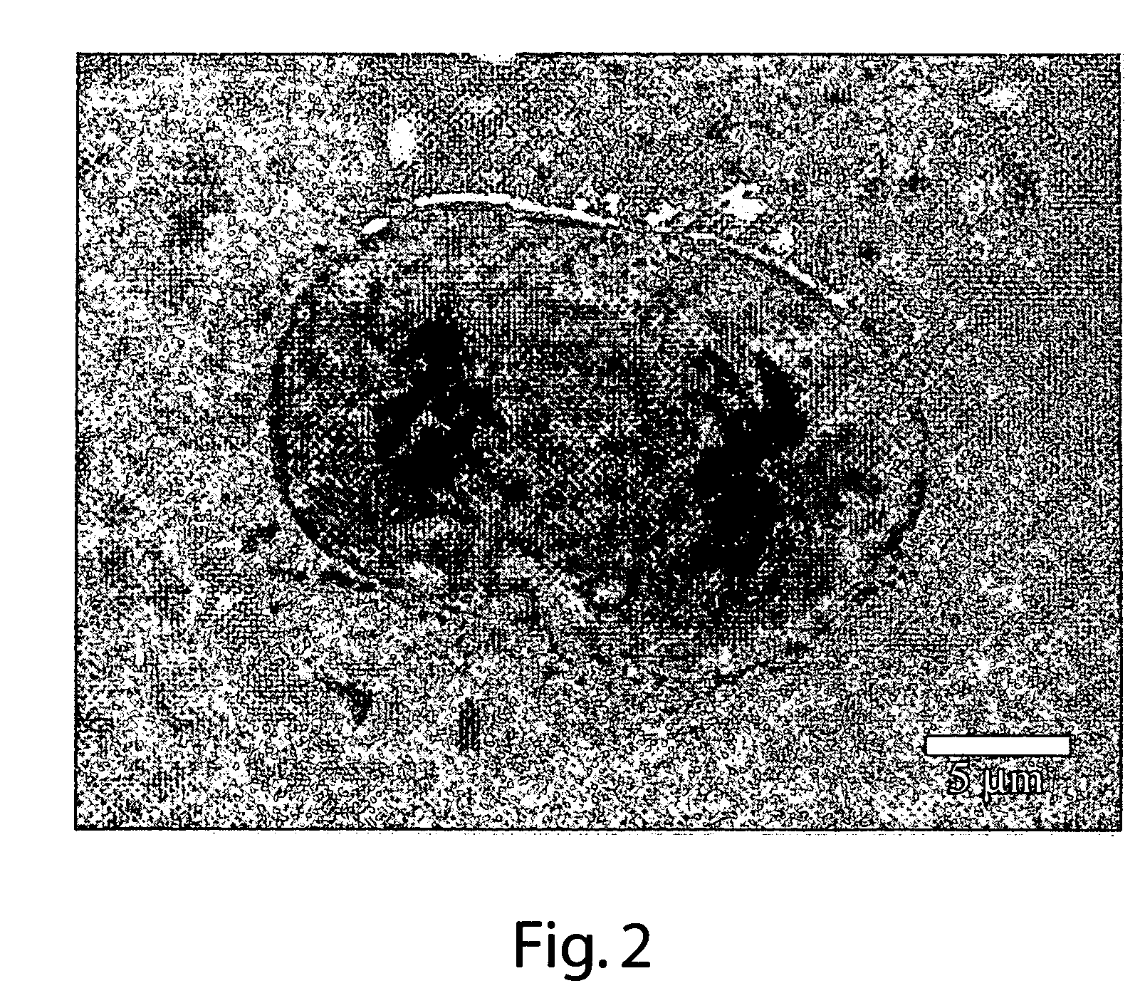 Method and apparatus for UV imaging