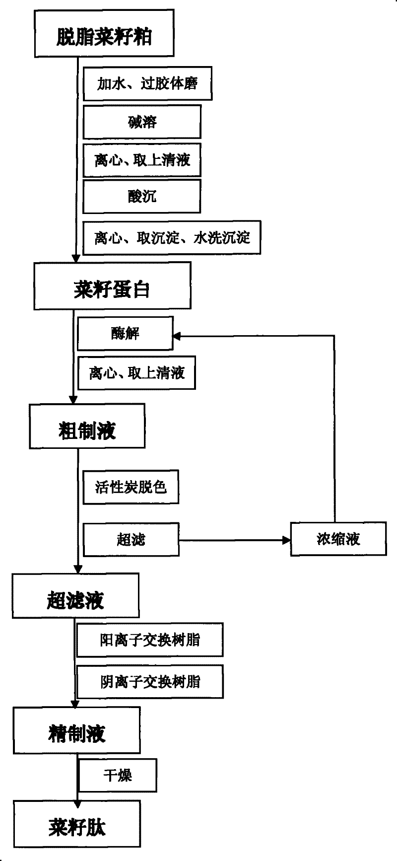 Method for preparing rapeseed bioactive peptide