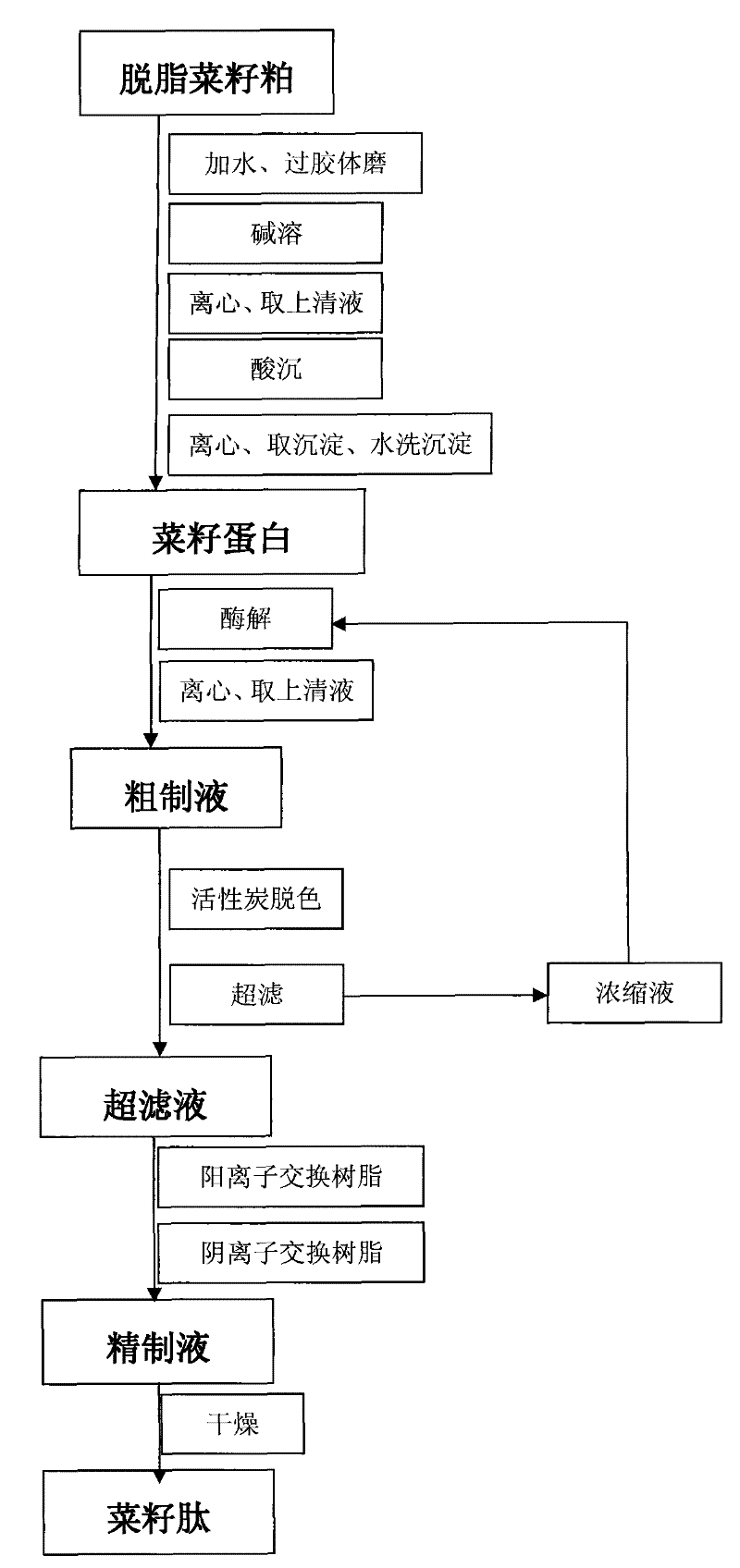 Method for preparing rapeseed bioactive peptide