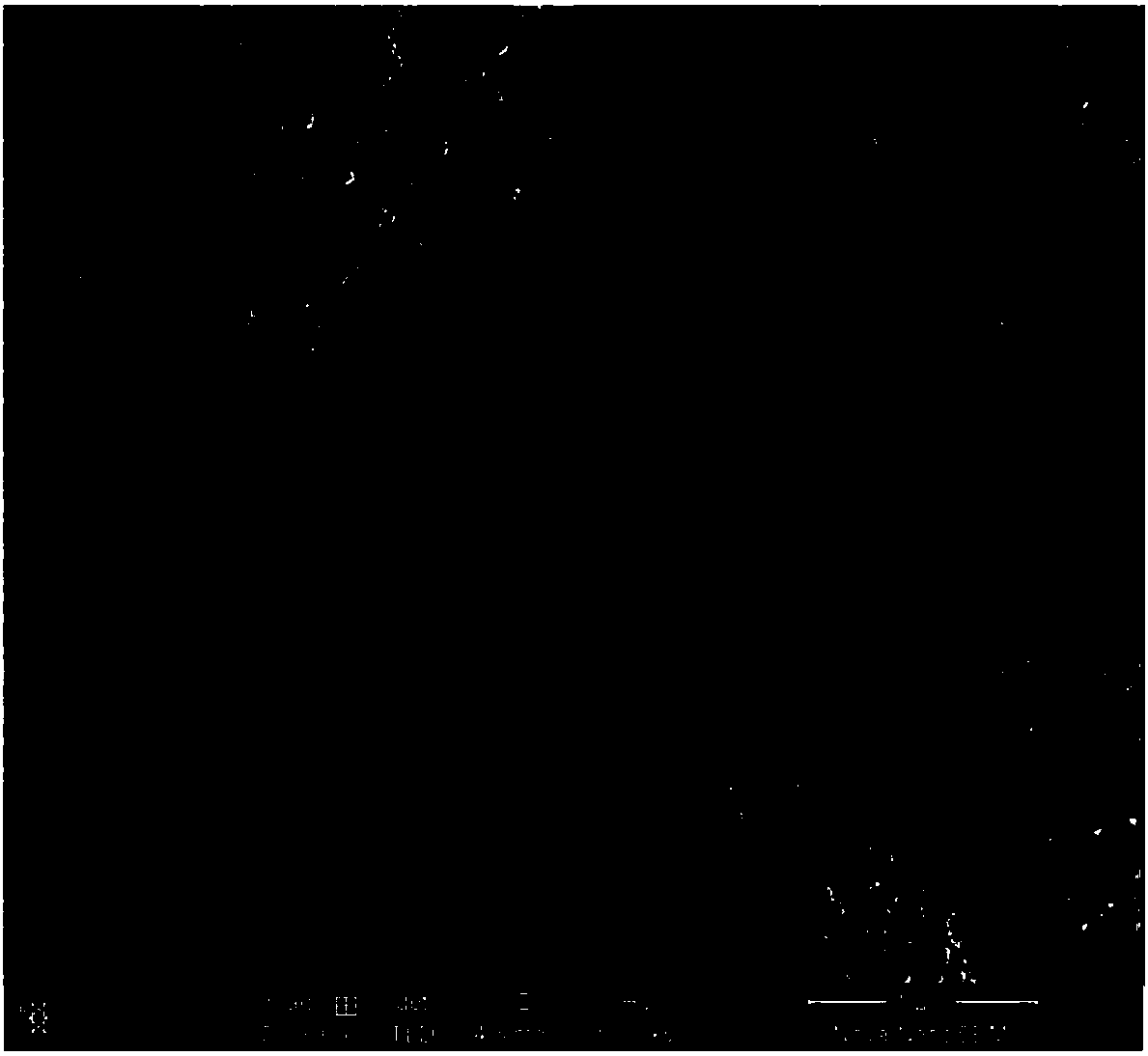 A kind of printable flexible conductive paste and its conductive circuit and preparation method