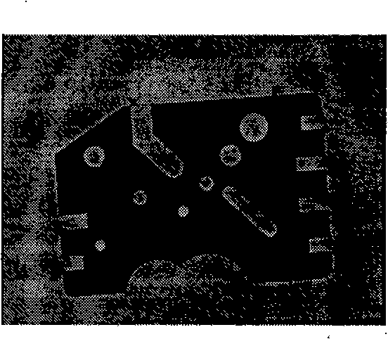 Processing method for measuring sub-pixel rim of digital picture