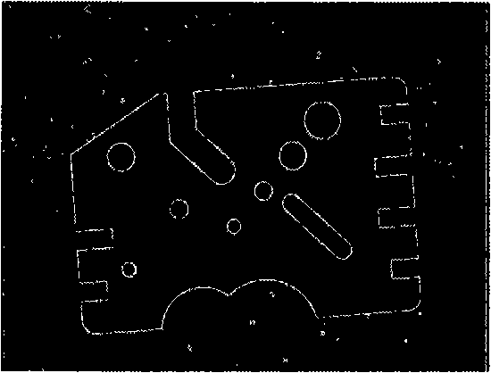 Processing method for measuring sub-pixel rim of digital picture