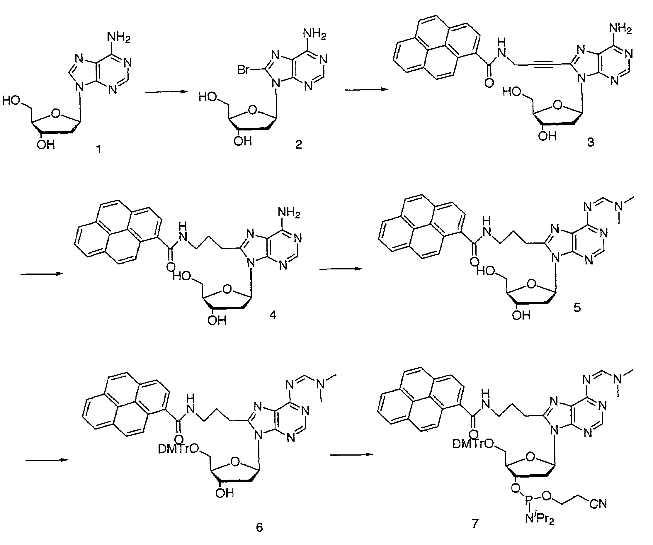 Nucleotide derivative and DNA microarray