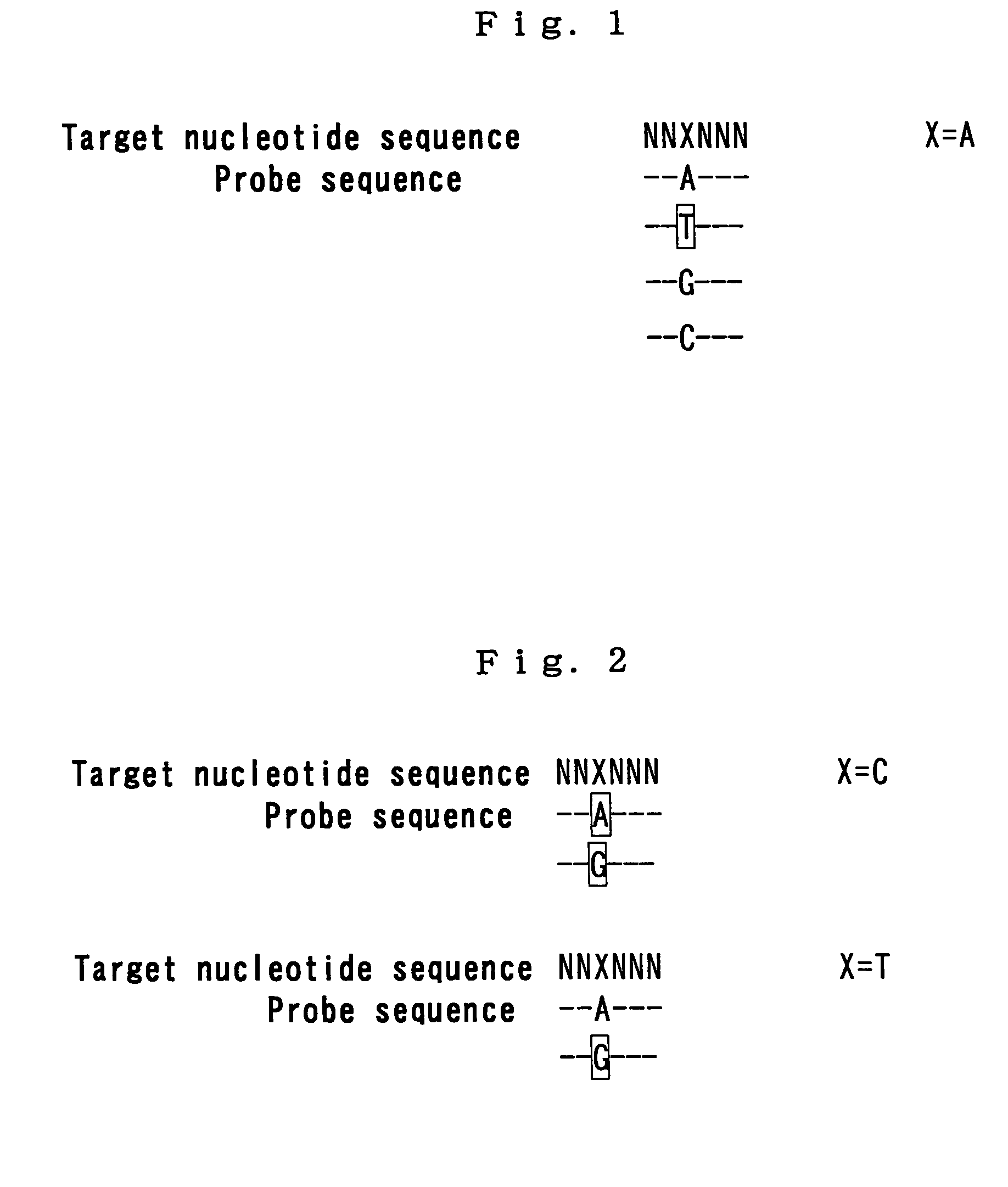 Nucleotide derivative and DNA microarray