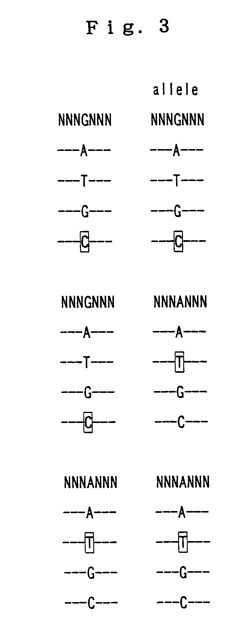 Nucleotide derivative and DNA microarray