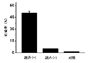 Load small interfering RNA nanoscale lipid microbubble ultrasonic contrast agent and preparation method