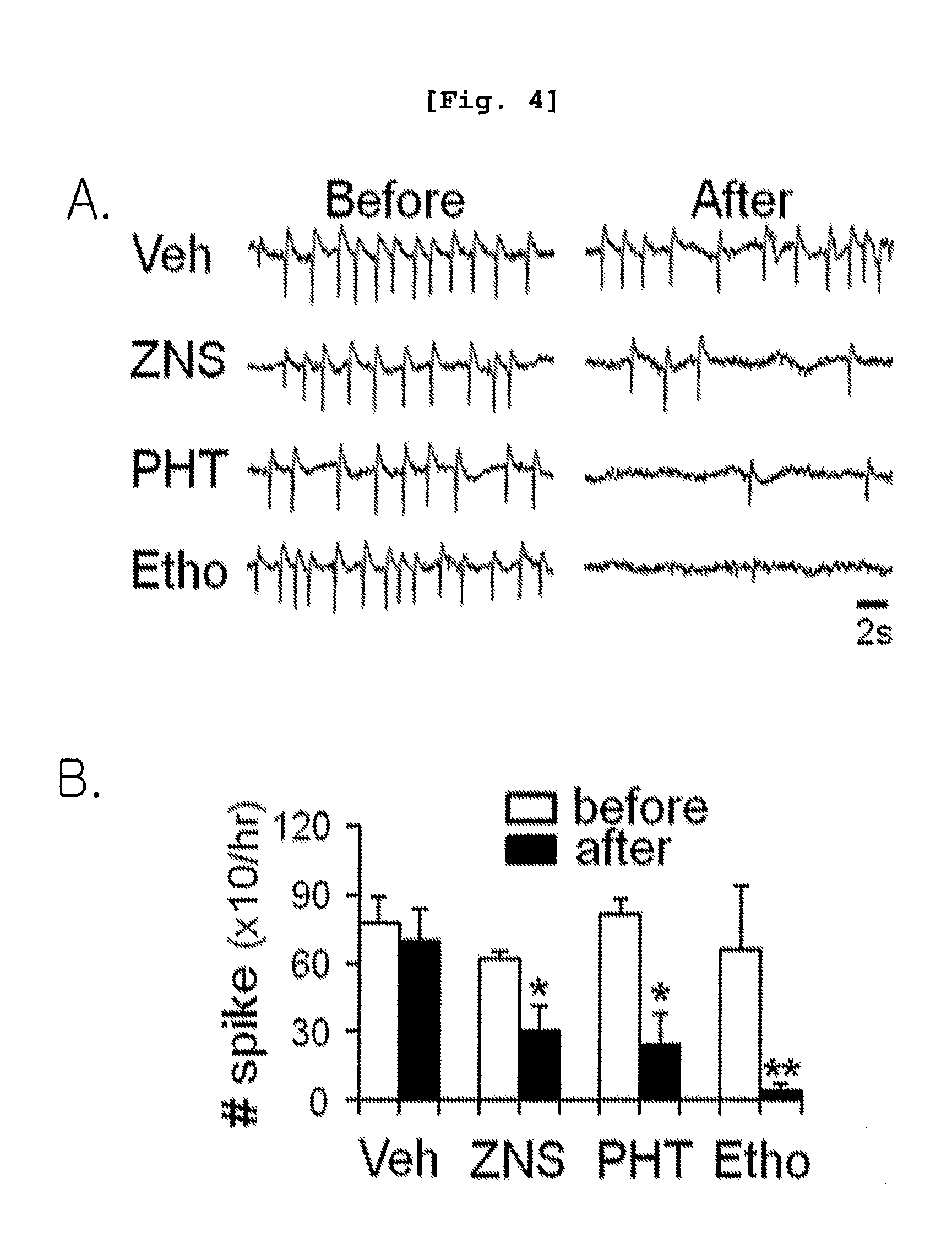 Model Mouse of Attention Deficit Hyperactivity Disorder, Method for Investigating Effects for Preventing and Alleviating Attention Disorder using the Model Mouse, and Method for Treating Attention Disorder by Suppressing T-Type Calcium Channel