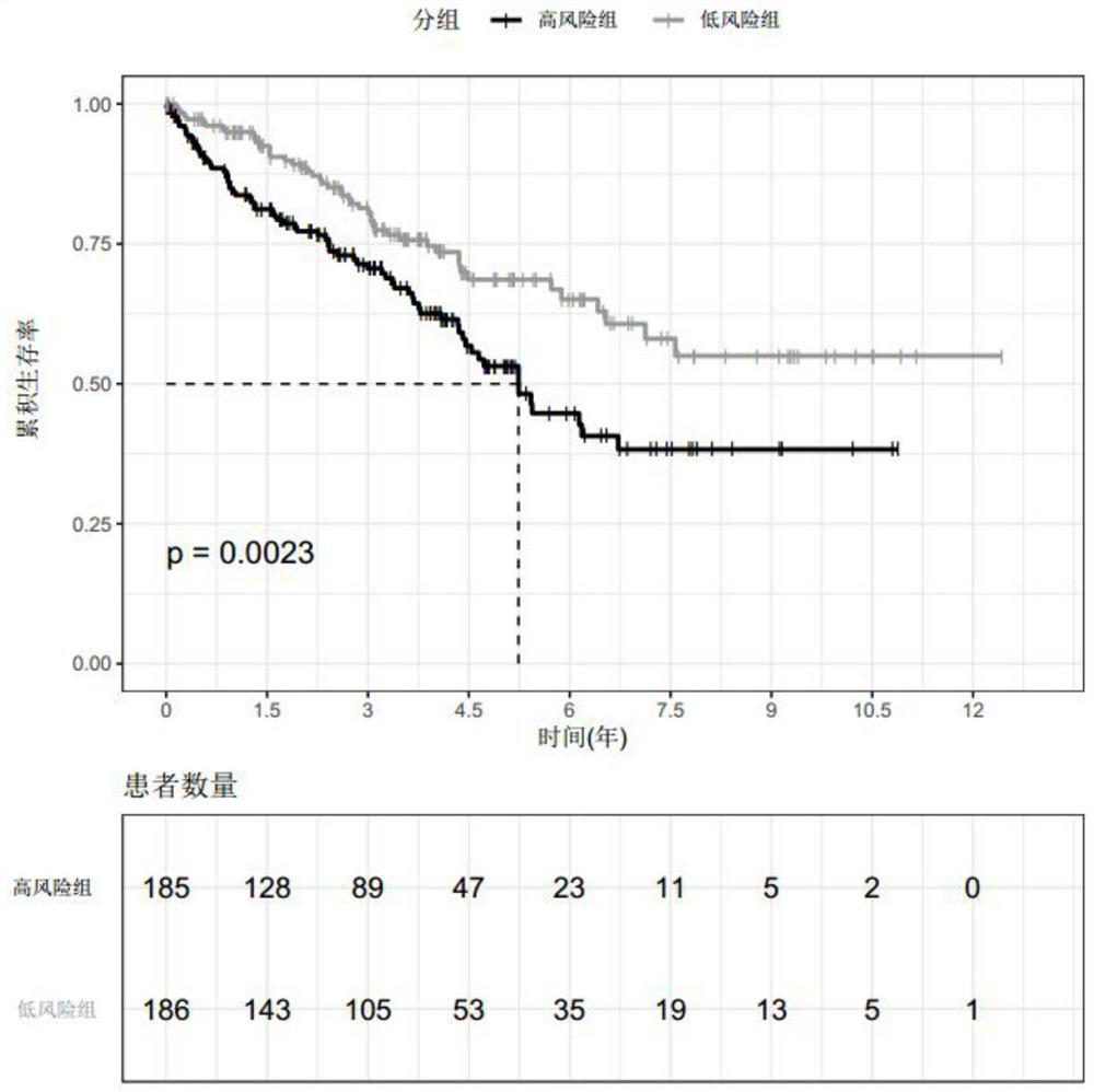 Diagnostic markers for prognosis of renal cell carcinoma