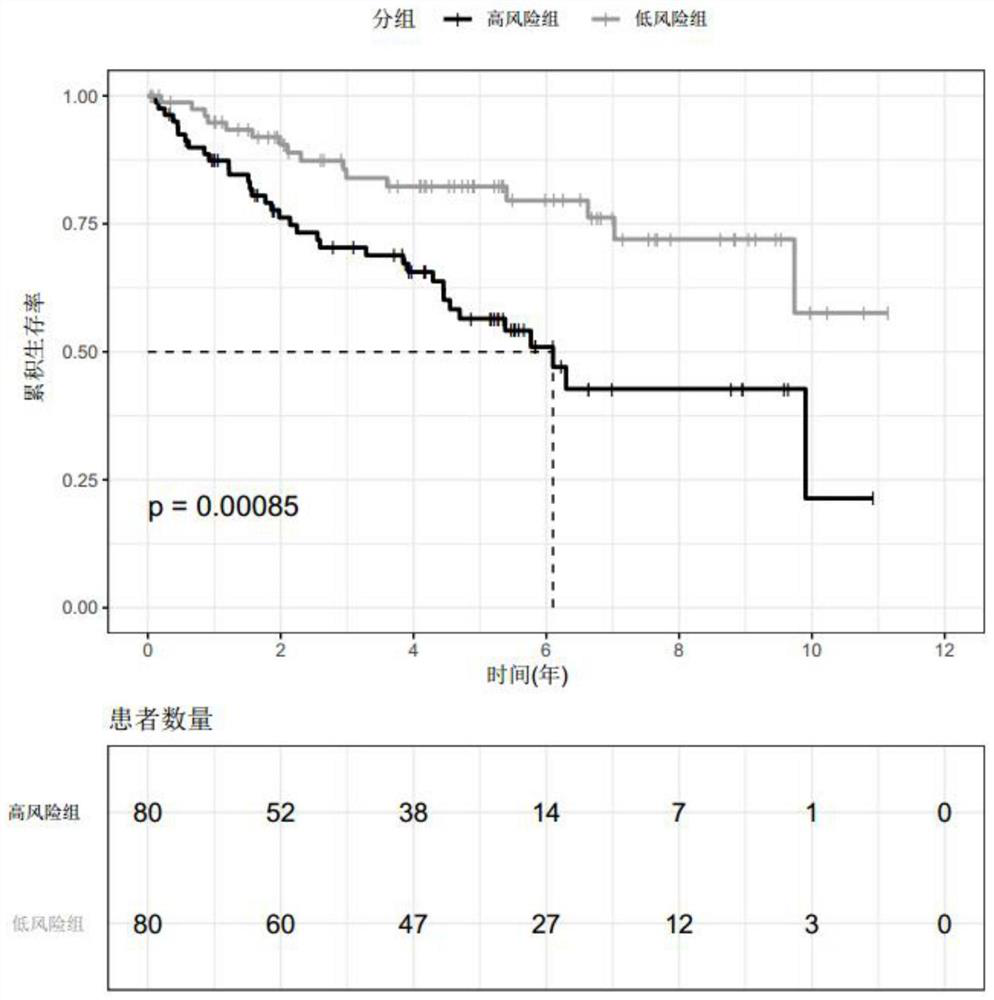 Diagnostic markers for prognosis of renal cell carcinoma