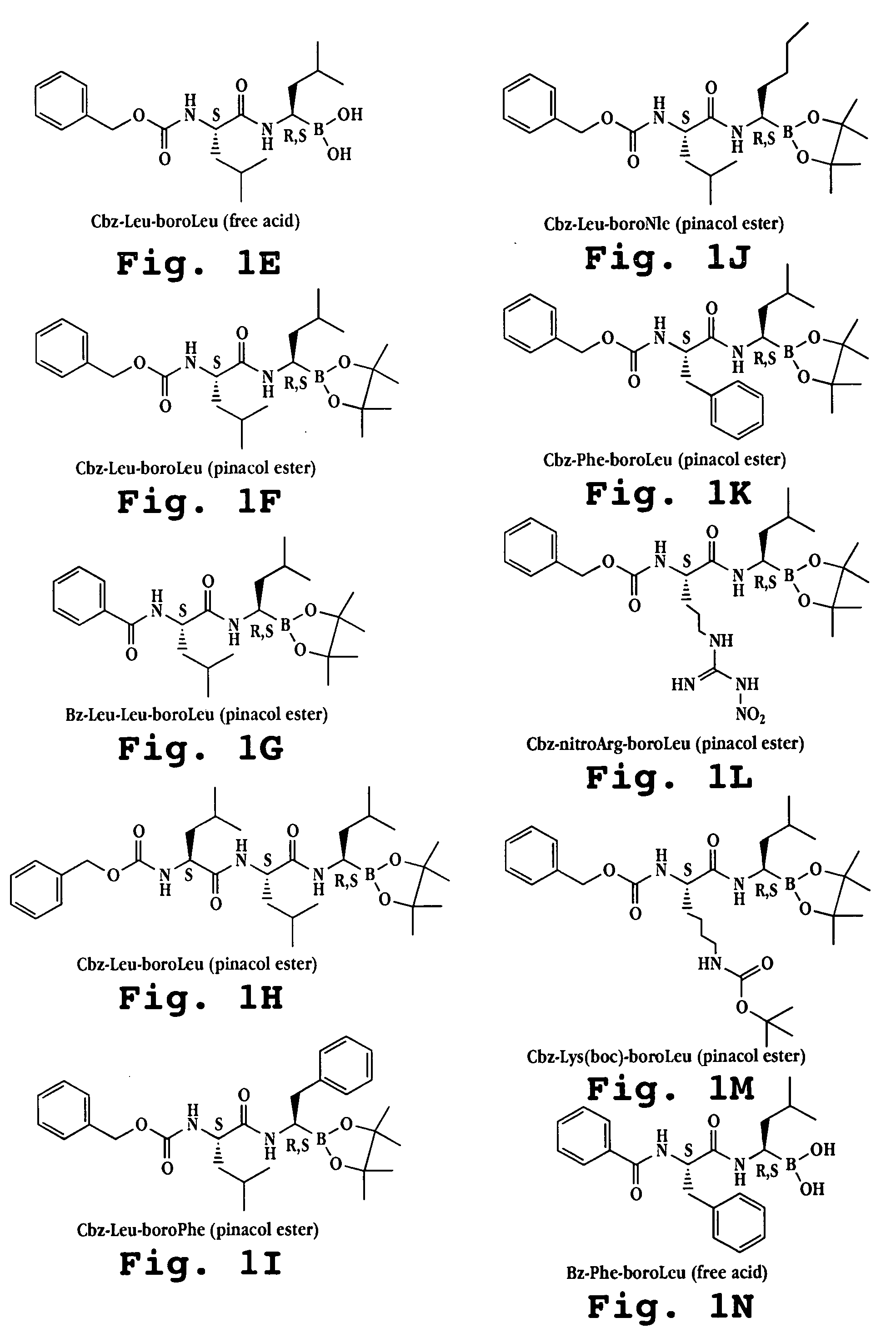 Liposome formulations of boronic acid compounds