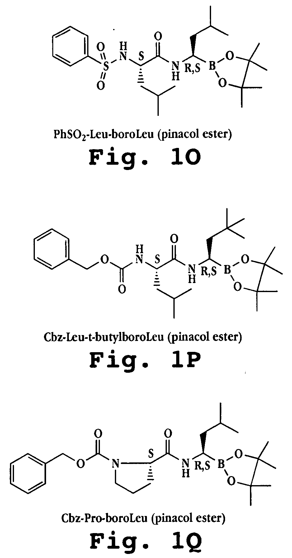 Liposome formulations of boronic acid compounds