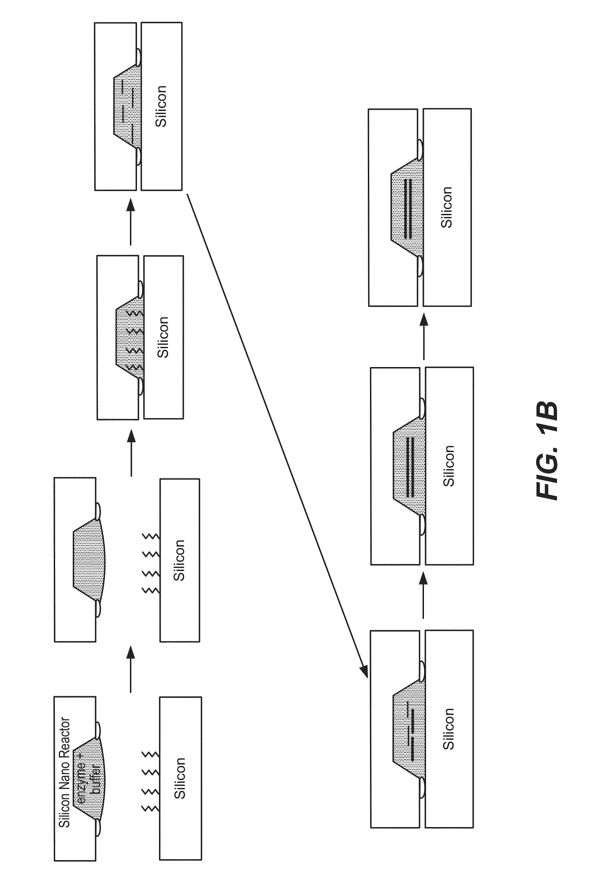 De novo synthesized gene libraries