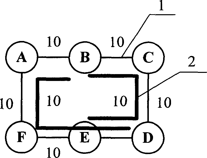 Network protective method based on multiple volume preset protective ring