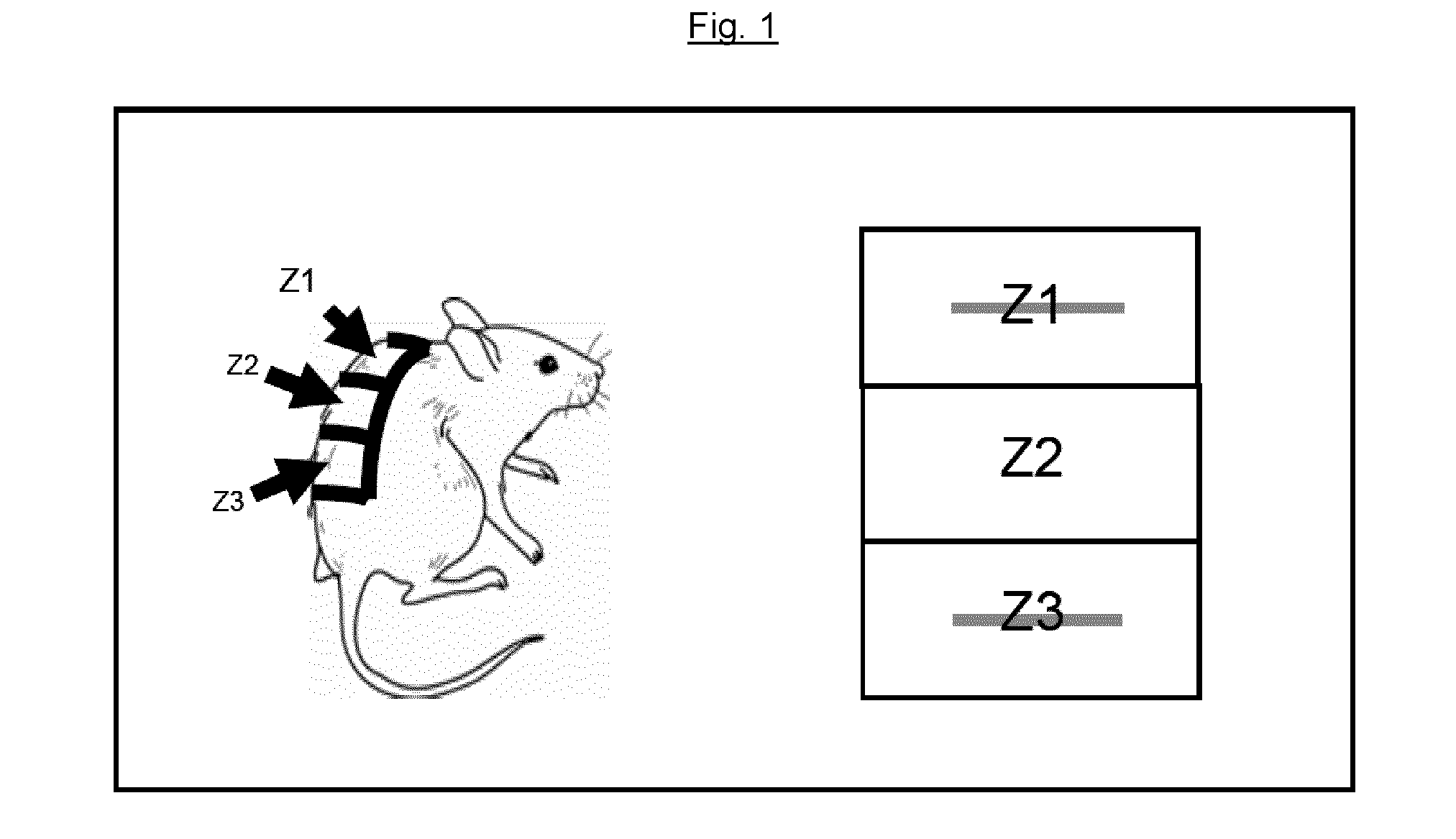 Pharmaceutical topical composition of mupirocin