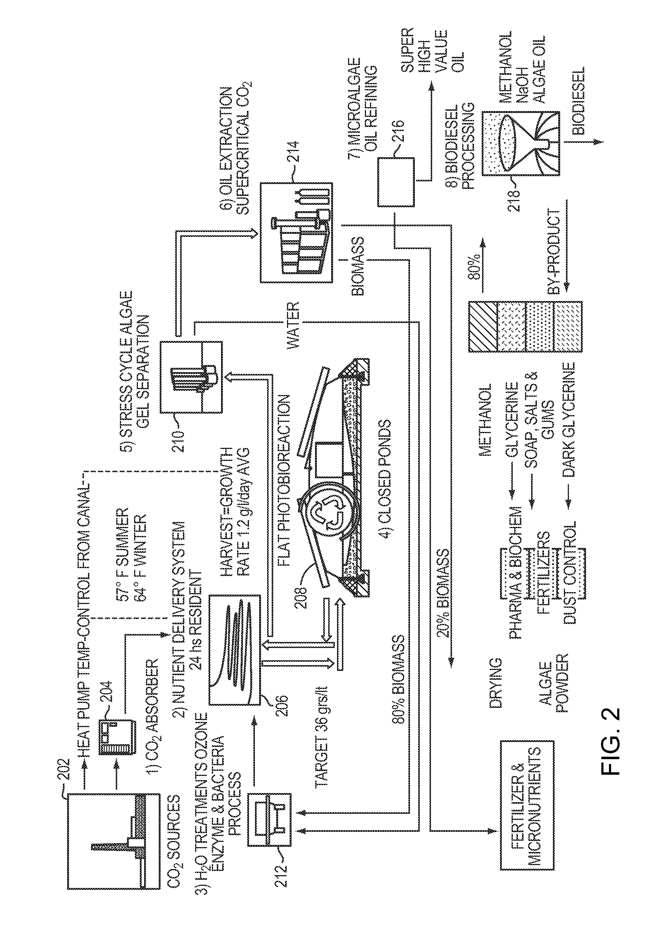 Methods and systems for producing lipids from microalgae using cultured multi-species microalgae