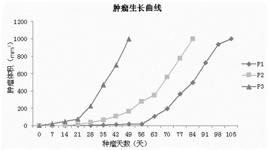 Method for constructing non-small-cell lung cancer gefitinib drug-resistance PDX model