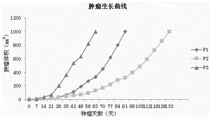 Method for constructing non-small-cell lung cancer gefitinib drug-resistance PDX model