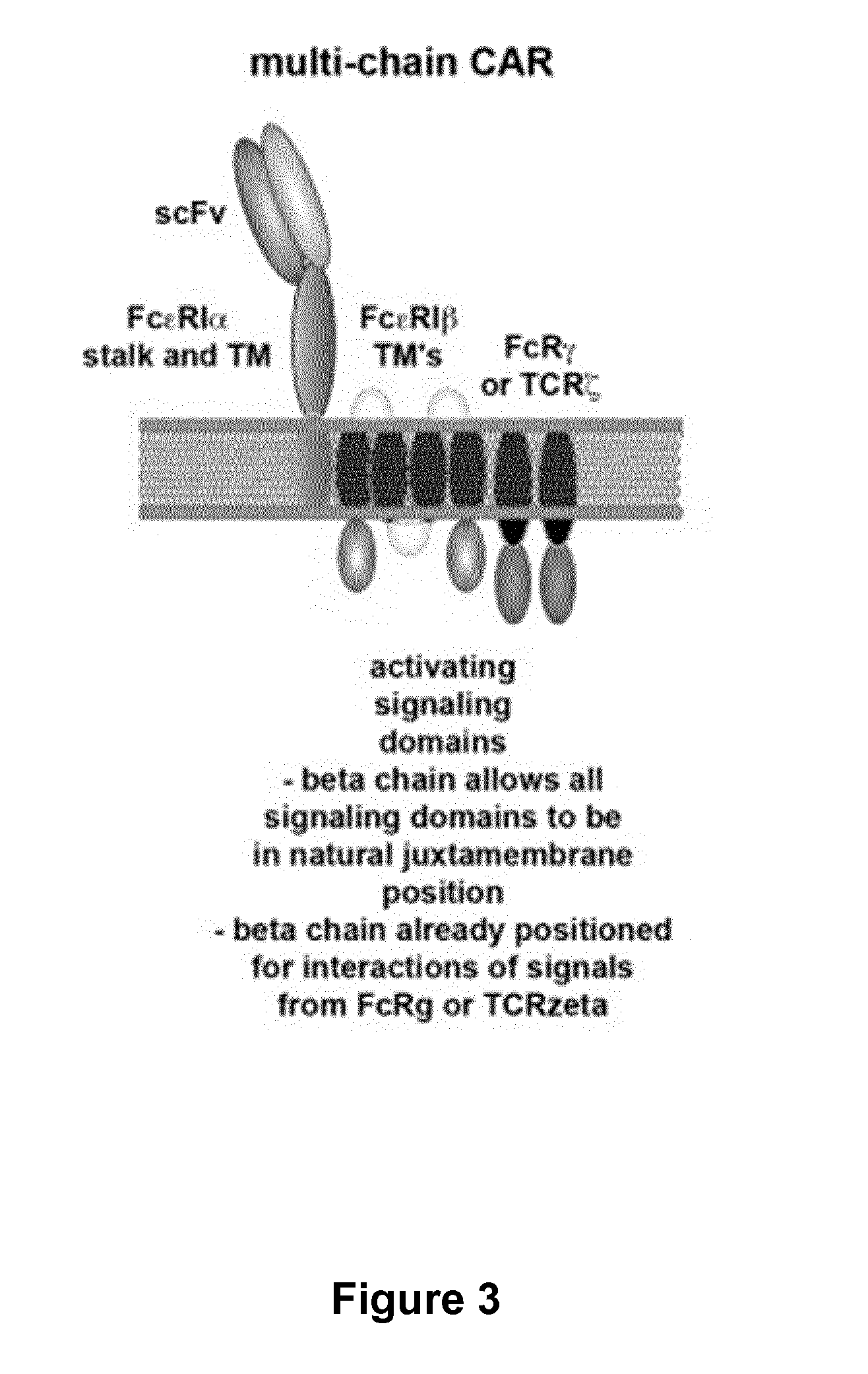 Methods for engineering t cells for immunotherapy by using rna-guided cas nuclease system